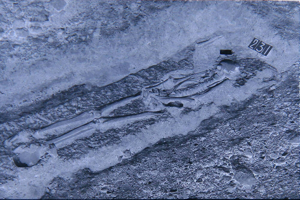 Фотонегатив. Раскопки могильника на реке Дюрсо
