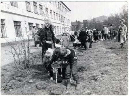 Фотография. Фото сюжетное. Школьники сажают деревья у здания школы № 1. г. Кировск.