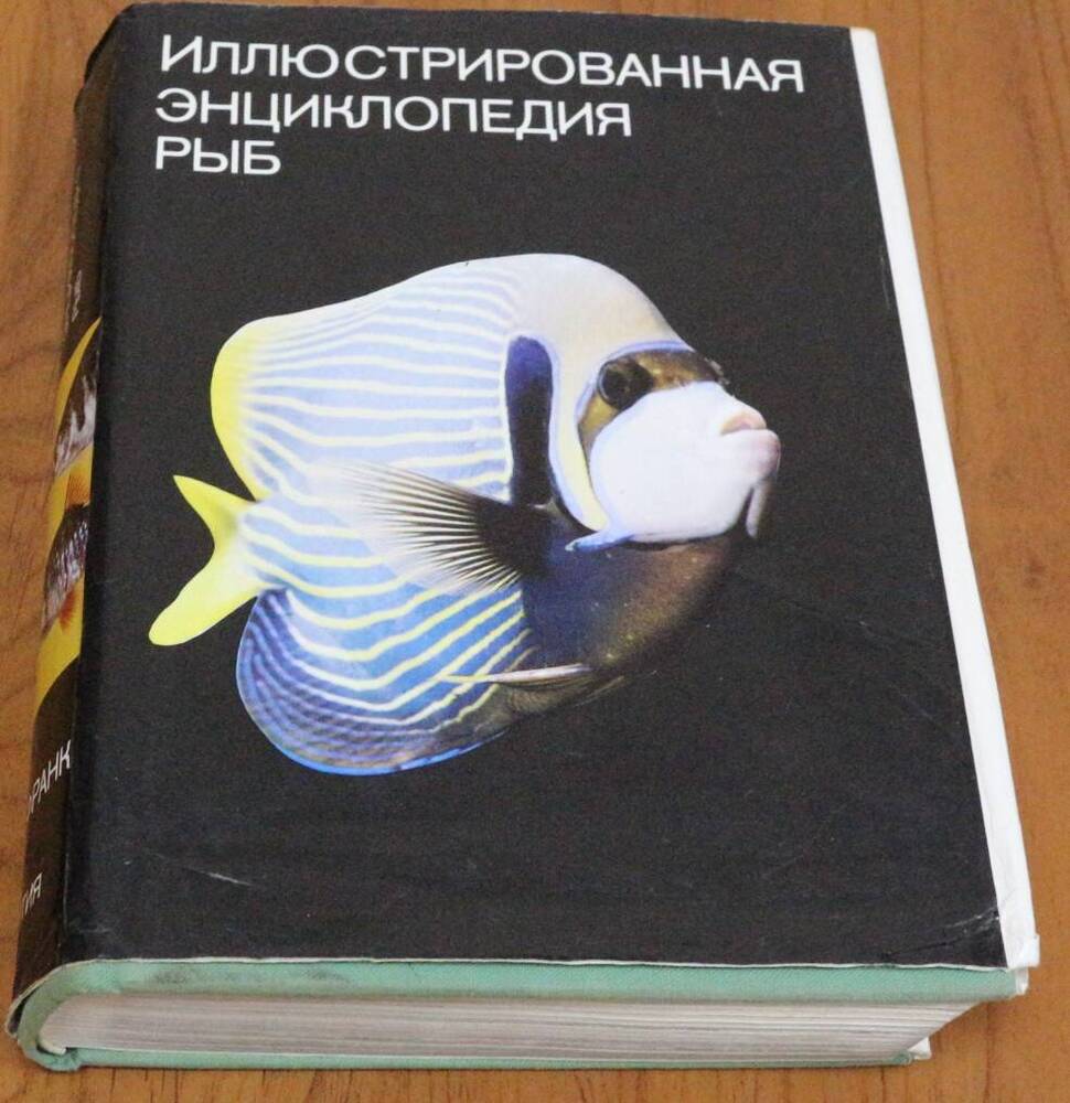 Книга. Иллюстрированная энциклопедия рыб