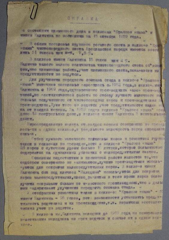 Справка о состоянии племенного дела в колхозе «Красное Знамя», 1959 г.