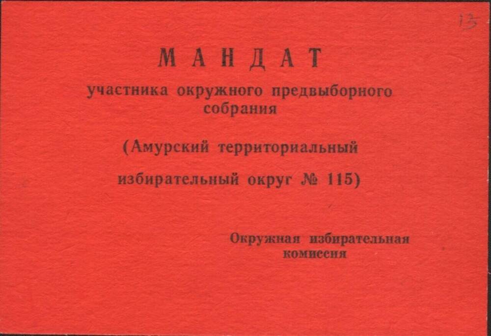 Мандат участника окружного предвыборного собрания (*Амурский территориальный избирательный округ № 115).
