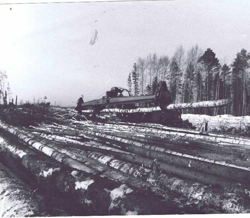 Фотография сюжетная. Сучкорезная машина ЛП-33