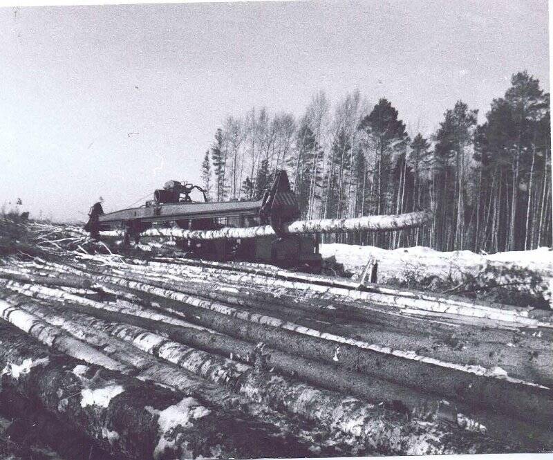 Фотография сюжетная. Сучкорезная машина ЛП -33