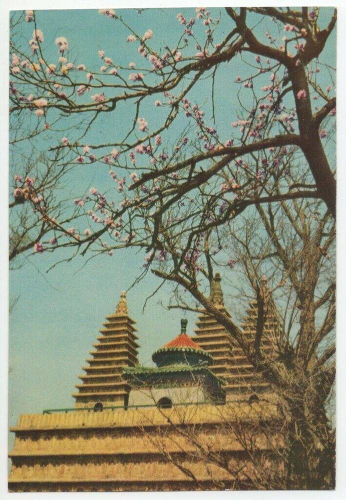 Открытка из набора почтовых открыток «Виды Пекина» (10 цветных открыток, в обложке).