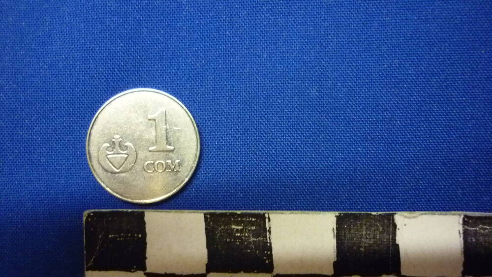 Монета Киргизии 1 сом