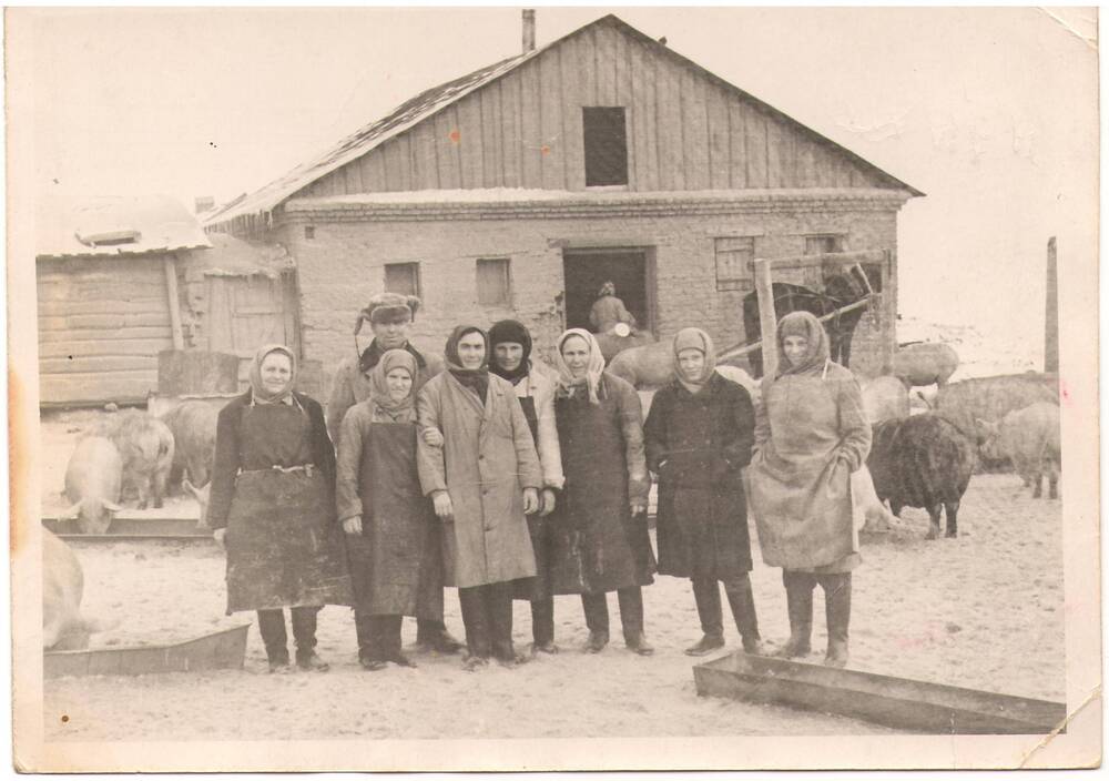 Фотография. Свинари пос. Кругляков. Крайняя слева- Николаева Евдокия