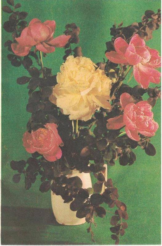 Открытка-телеграмма. Двойная. На лицевой стороне фото В. Корабельникова с изображением букета из 4-х розовых роз и одной желтой розы в центре. Цветы в белой вазе на зеленом  фоне. На развороте справа на девяти бежевых полосках бумаги, наклеенных на открытку, напечатан текст телеграммы – поздравление с днём рождения. На оборотной стороне надпись: «Серия Ж 61», «Министерство связи СССР», дата «22.6», время «19 ч. 00 мин.», «принял» - подпись. Бумага, печать типографская, машинопись, рукопись.