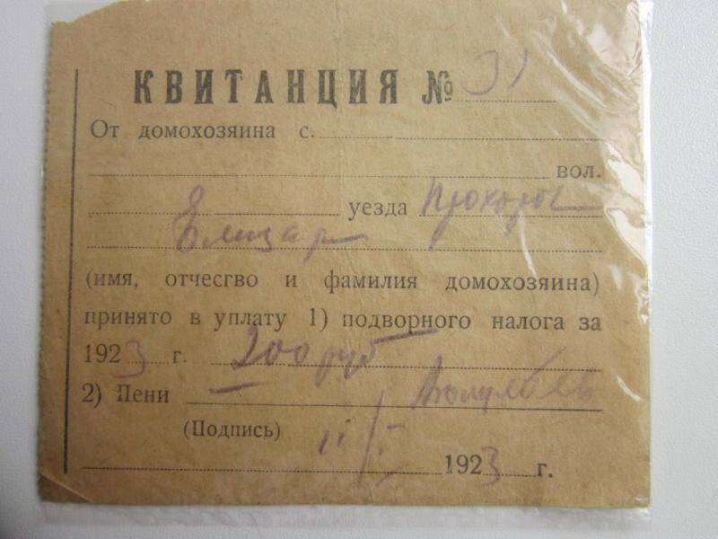 Документ. Квитанция № 31. «Прохорова Елизар. 1923 год» .