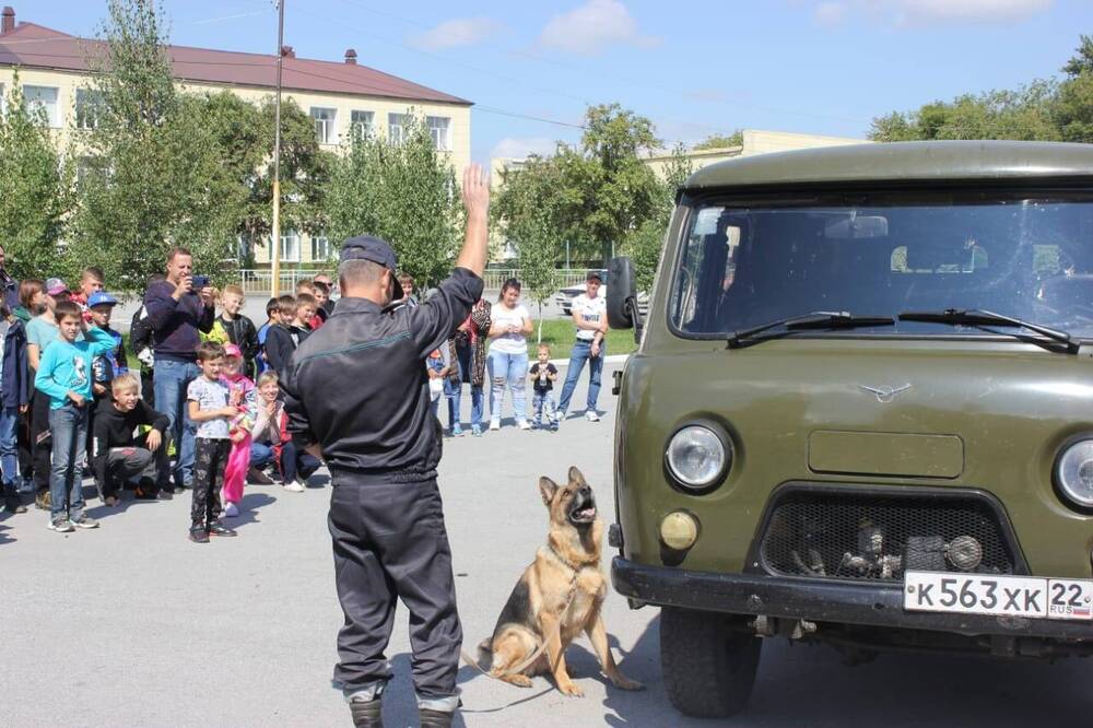 Фотография цветная. День фронтовой собаки в Мемориальном музее Калашникова М.Т. Демонстрация работы пограничников со служебными собаками.
