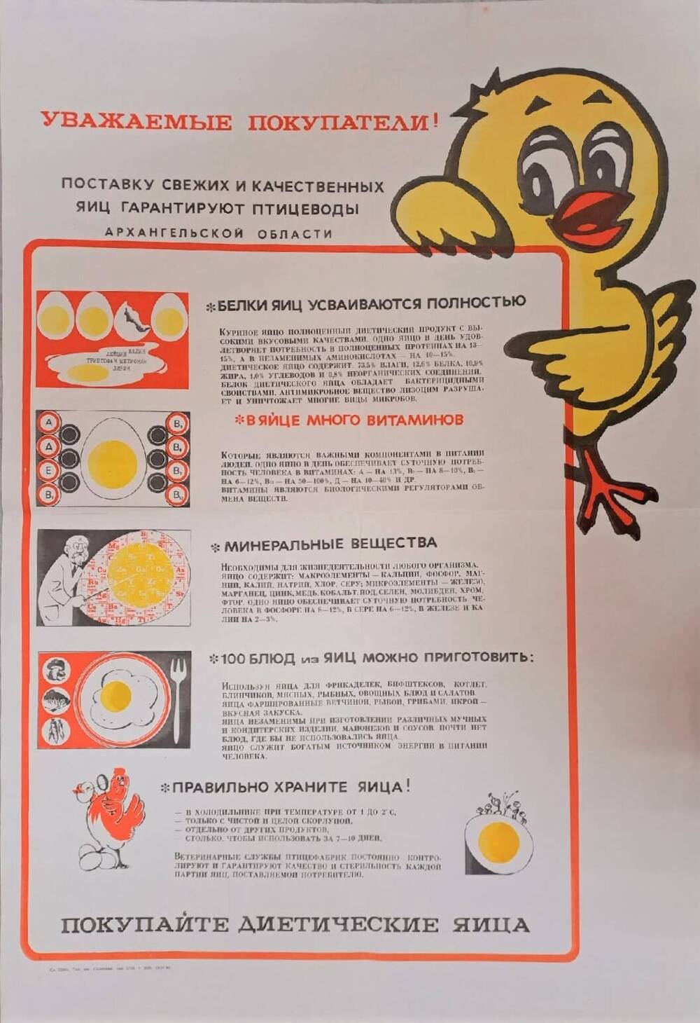 Реклама Поставку свежих и качественных яиц гарантируют птицеводы Архангельской области