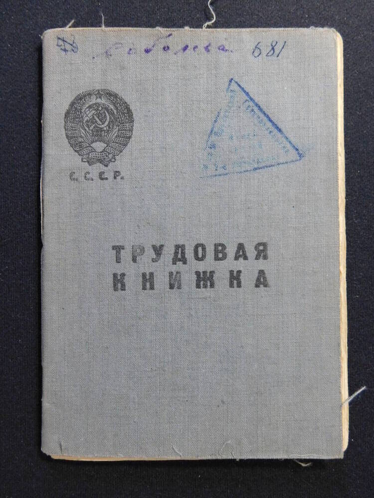 Документ. Трудовая книжка Соболевой Н.А.